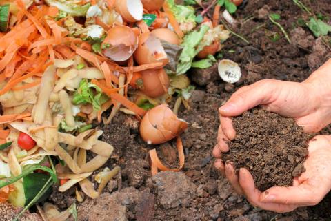 Photograph of a person holding up dirt compost over a compost bed with food scraps.