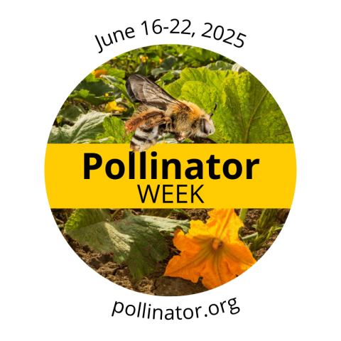 Logo for pollinator week, pollinator.org