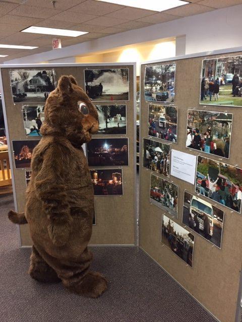 Groundhog Day Photo Display