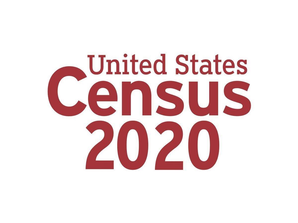 Census 2020 Job Applications